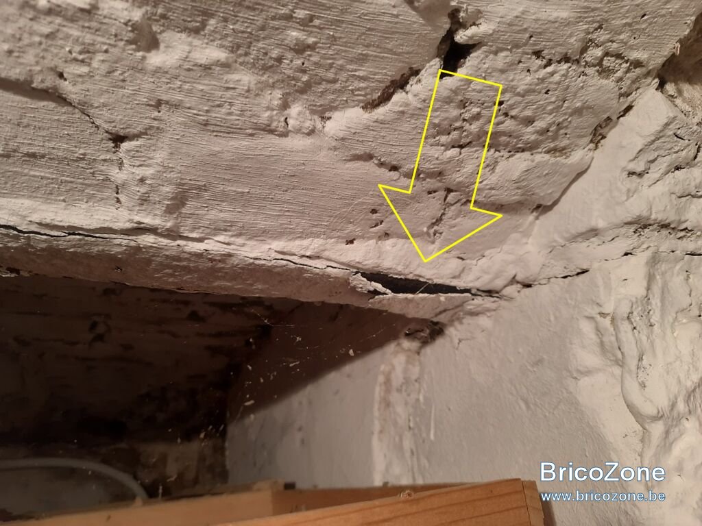 z20240318_113731.jpg