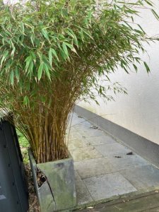 thumbnail_IMG_2337.jpg