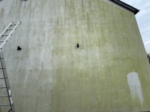 IMG_6690.jpeg