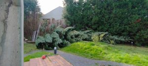 IMG_20240401_105937.jpg