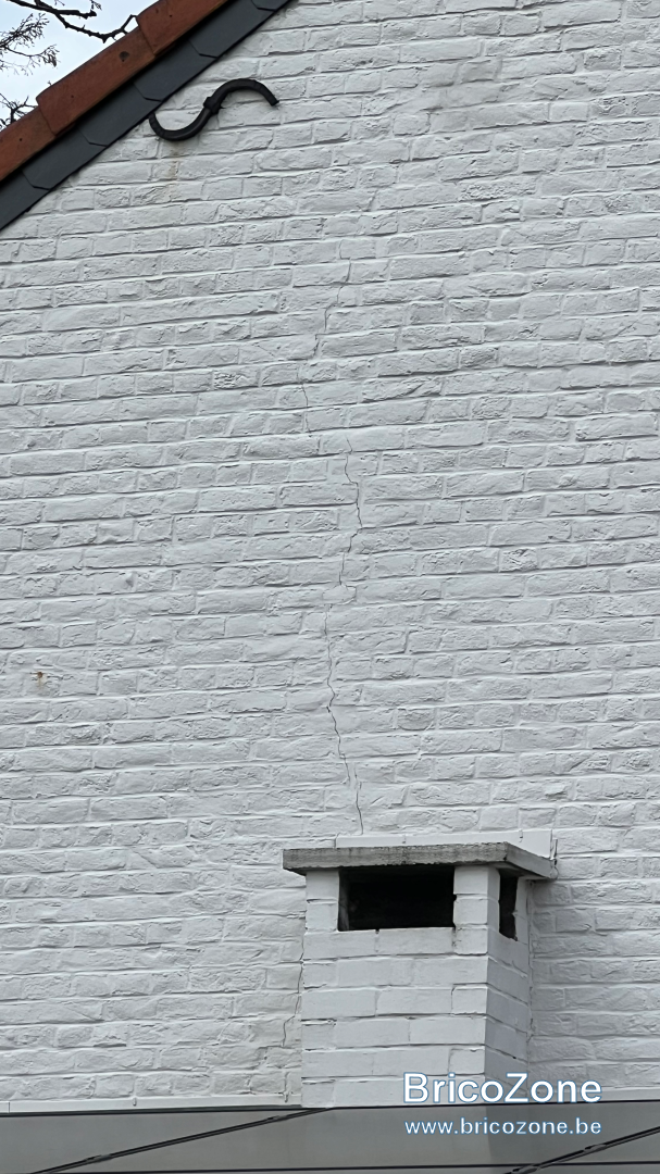 IMG_3348.png