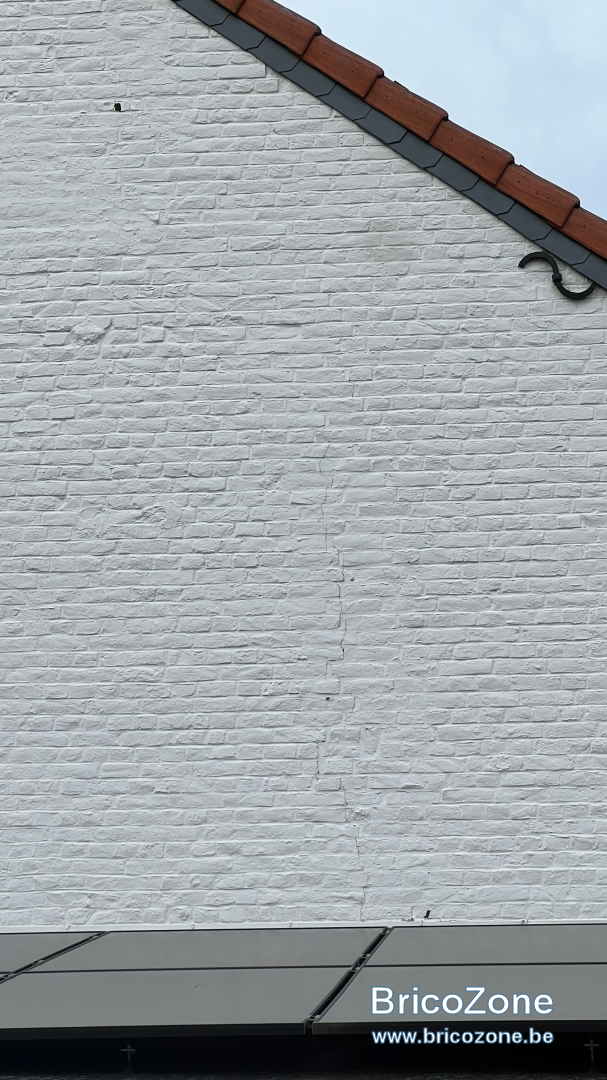 IMG_3347.png