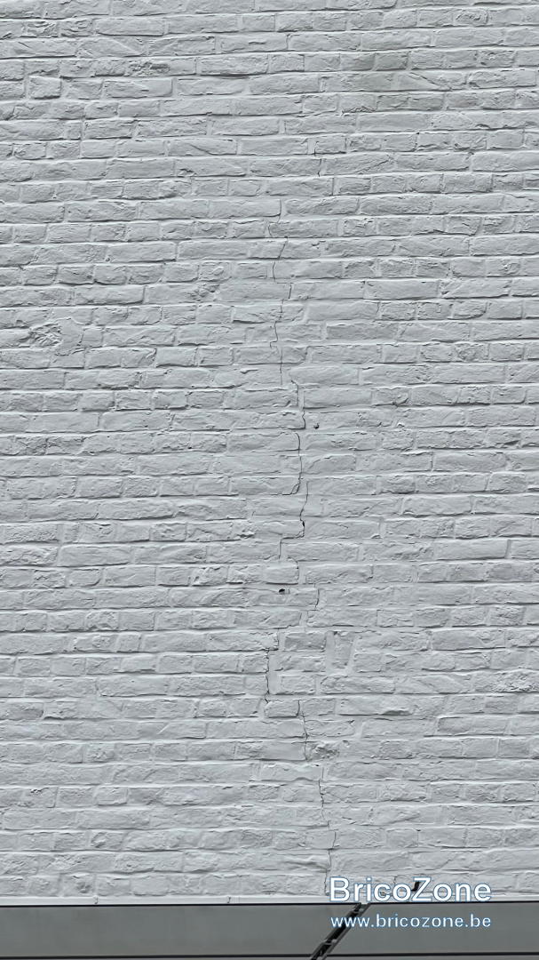 IMG_3349.png