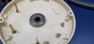 20240405_194553.jpg