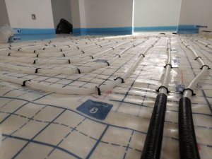 20240406_171032.jpg
