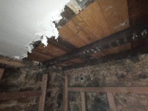 IMG_20240414_175531.jpg
