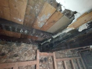 IMG_20240414_175526.jpg