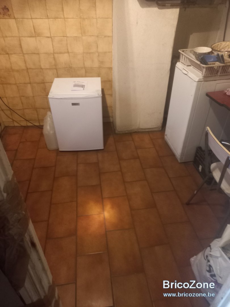 20240415_114257.jpg