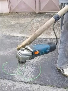 IMG_2175.jpeg