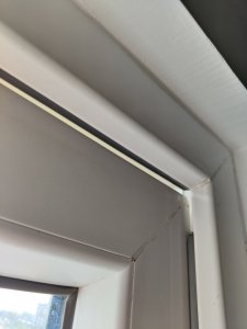 1000026130.jpg