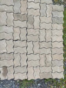 441178381_423189653682205_3361110800394940278_n.jpg