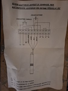 20240503_162759.jpg
