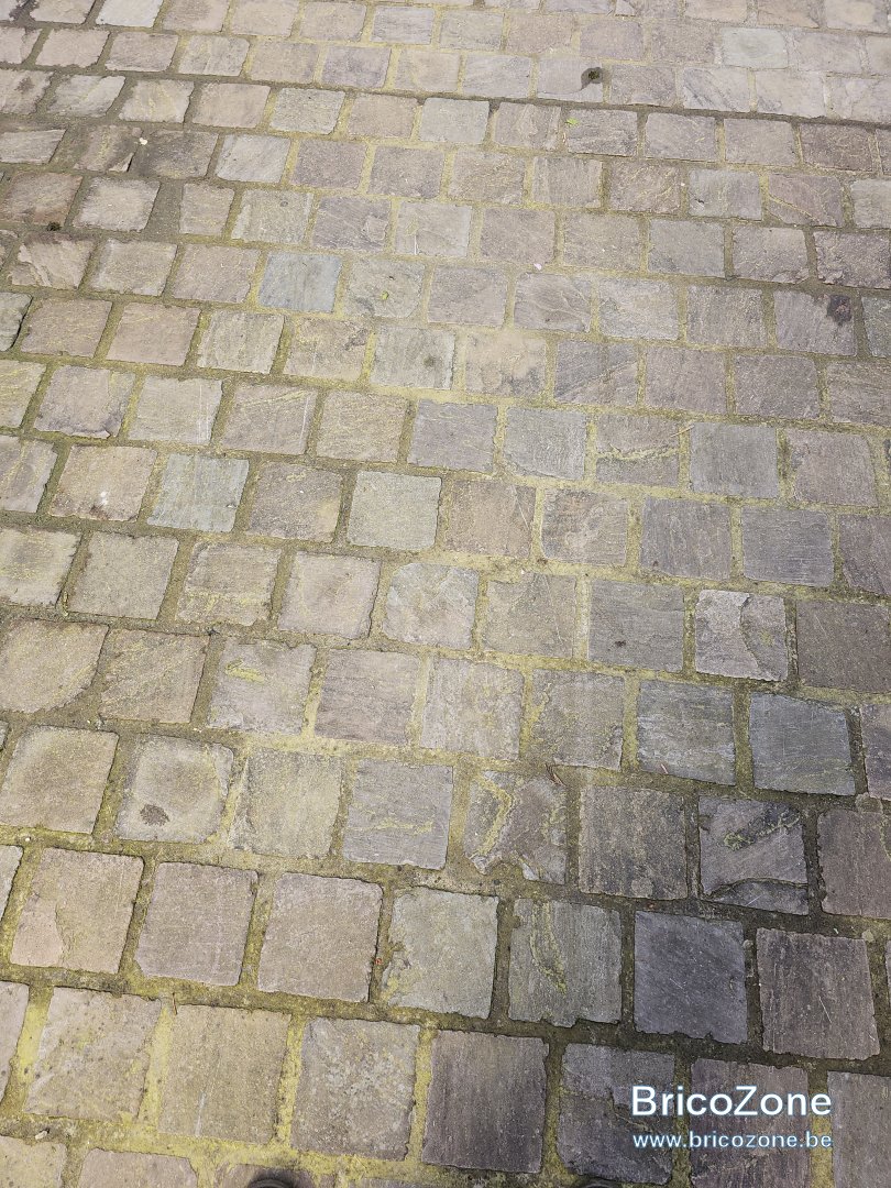 20240417_151802.jpg