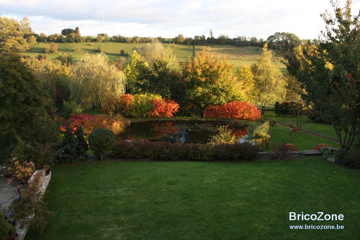 Gesves101101AutomneJardin.jpg