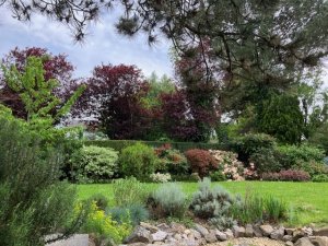 thumbnail_IMG_2555.jpg