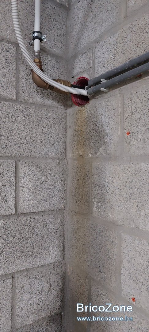 20240519_092959.jpg