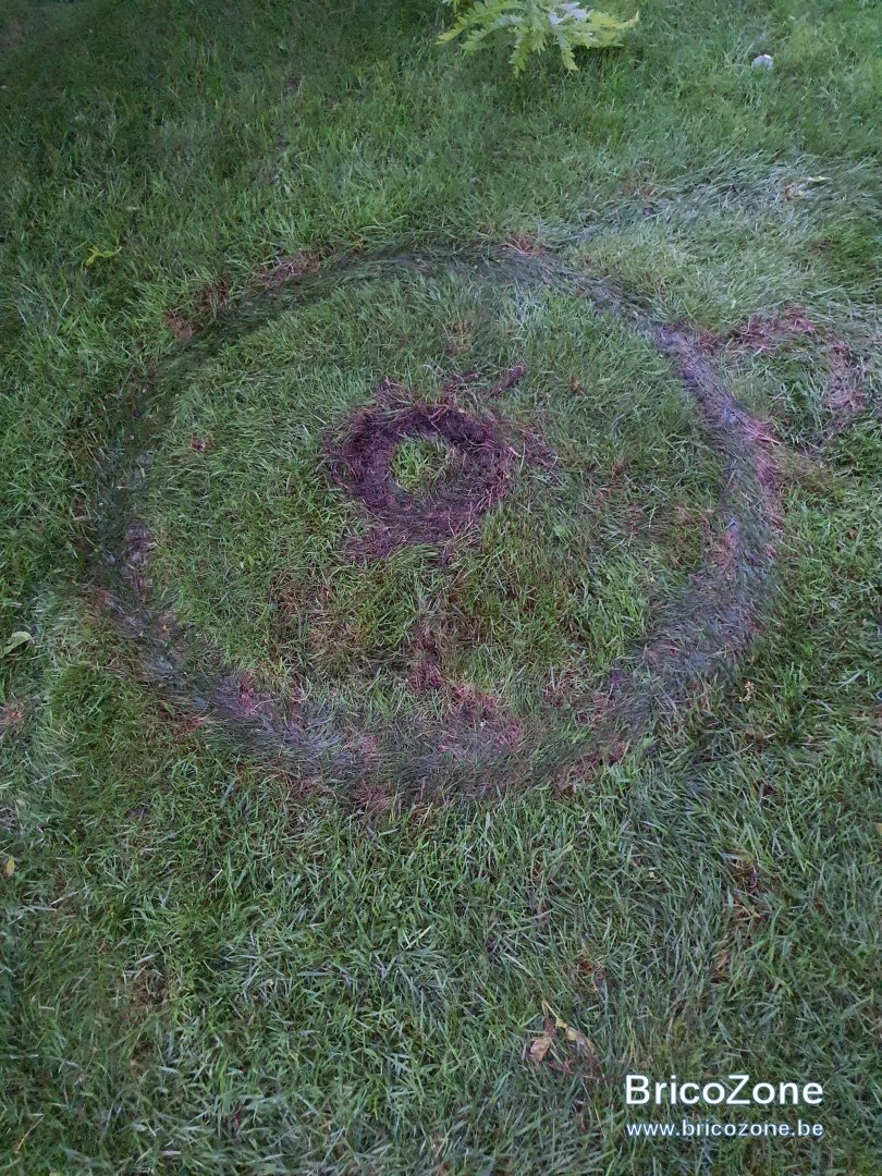 20240527_214836.jpg