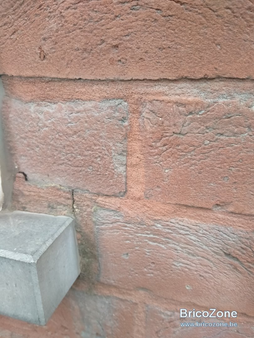 IMG20240601161546.jpg
