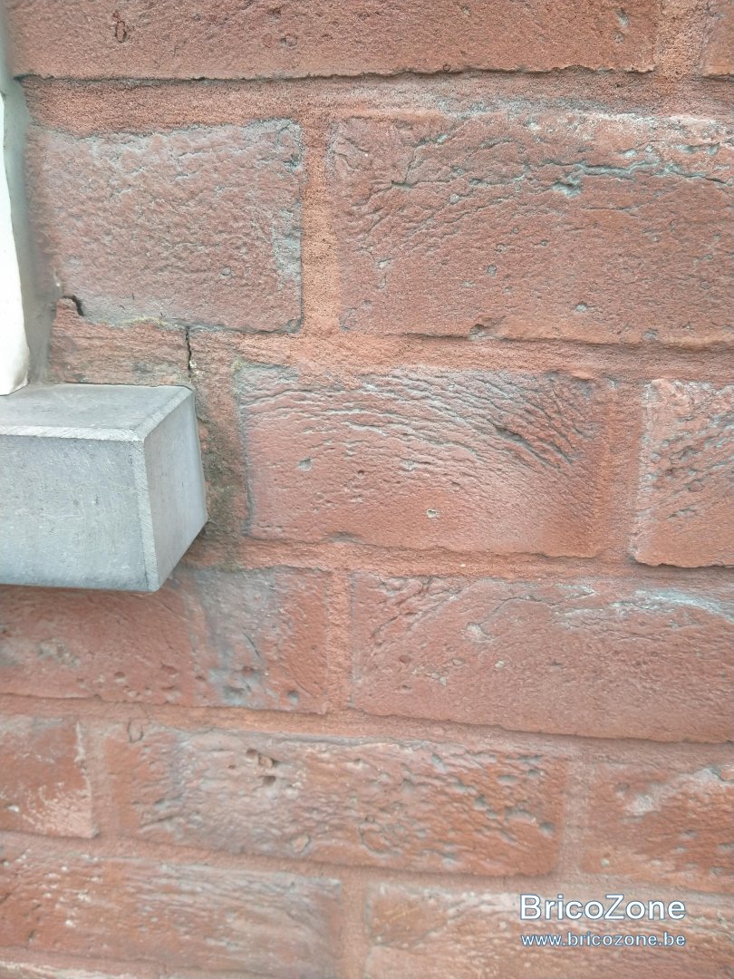 IMG20240601161523.jpg