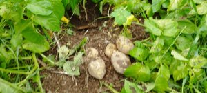 IMG_20240519_180109.jpg