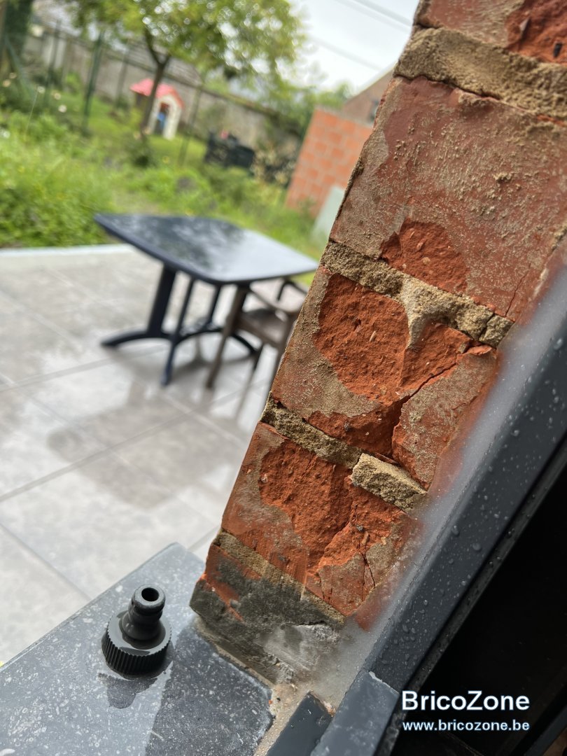 IMG_2019.jpeg