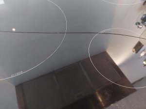 1000017195.jpg