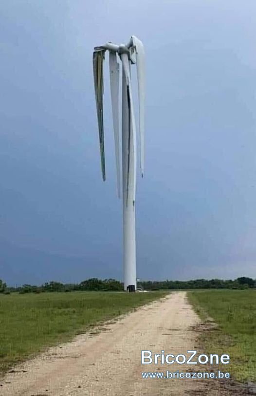 449627984_7979643408741101_2889868973965453117_n.jpg