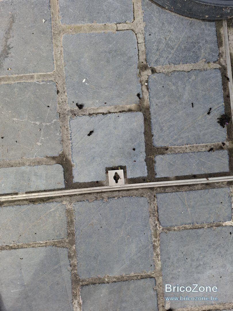 1000012100.jpg