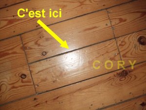 Trappe pour boite.JPG