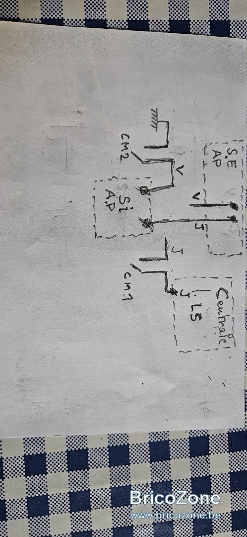 2024-07-1917.52.134956839834168665847.jpg