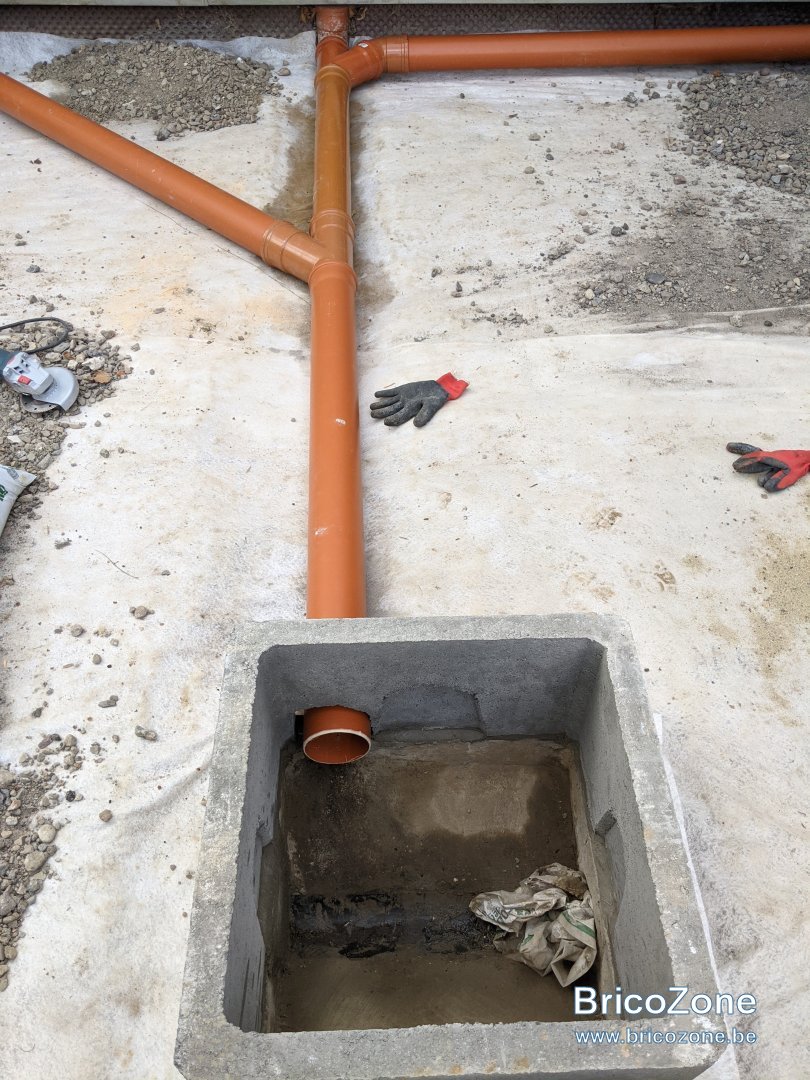 PXL_20210602_164039015.jpg