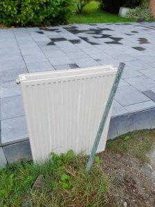 IMG_3847.jpeg