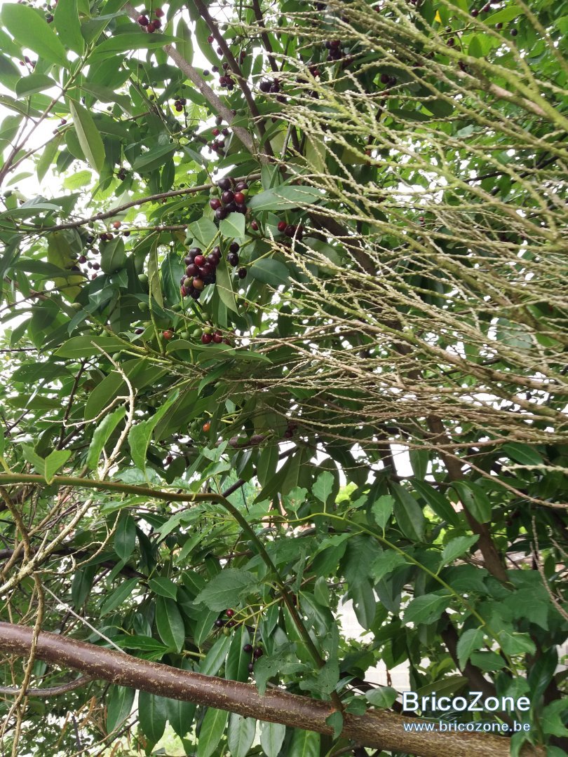 20240803_122650.jpg