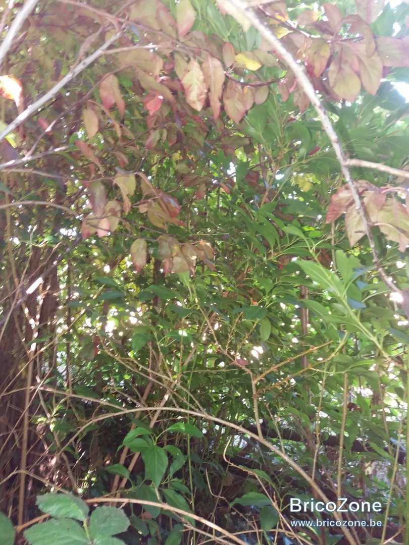 20240805_161317.jpg