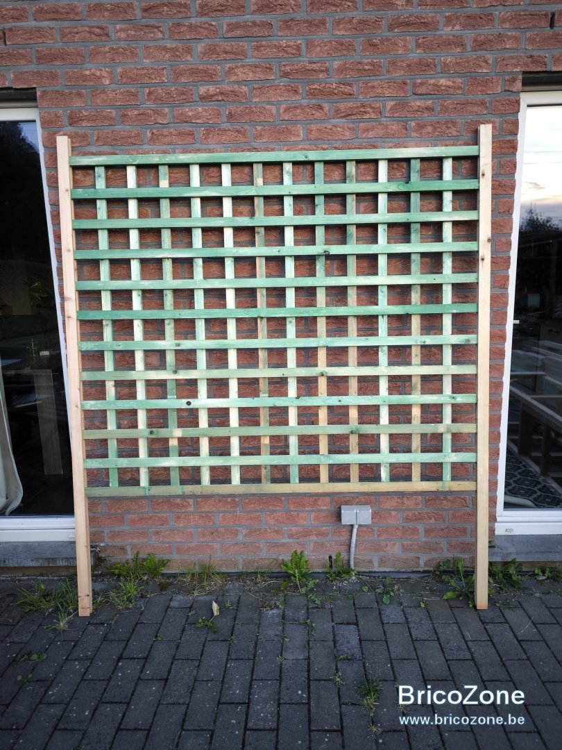 1000036587.jpg