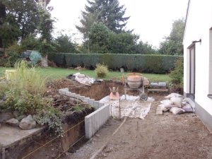DSCI4924 [1600x1200(2)].jpg