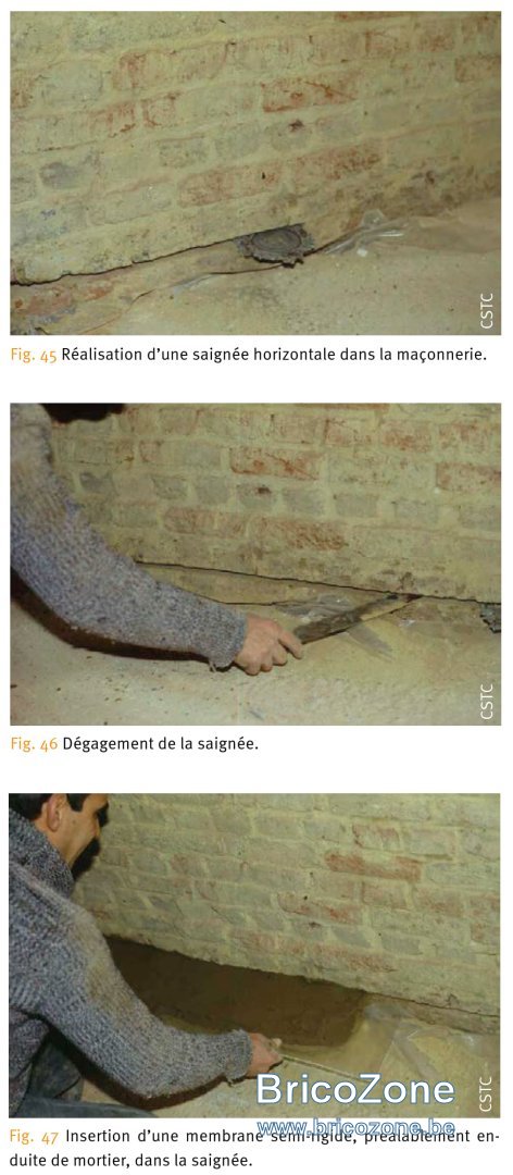 Insertion membrane.jpg