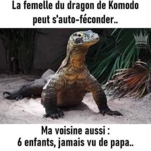 IMG_4332.jpeg