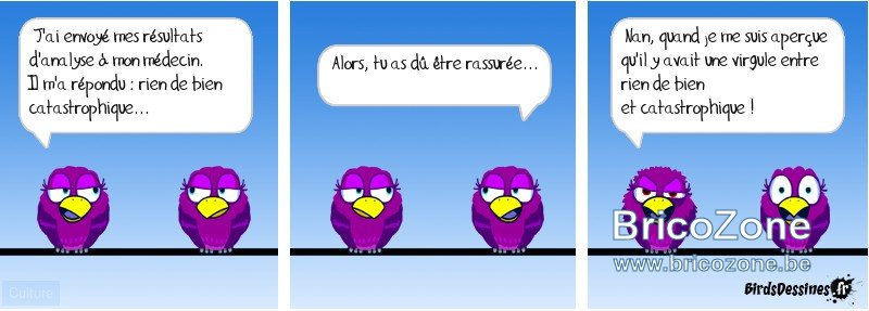 de_limportance_de_la_ponctuation_birdsdessines.jpg
