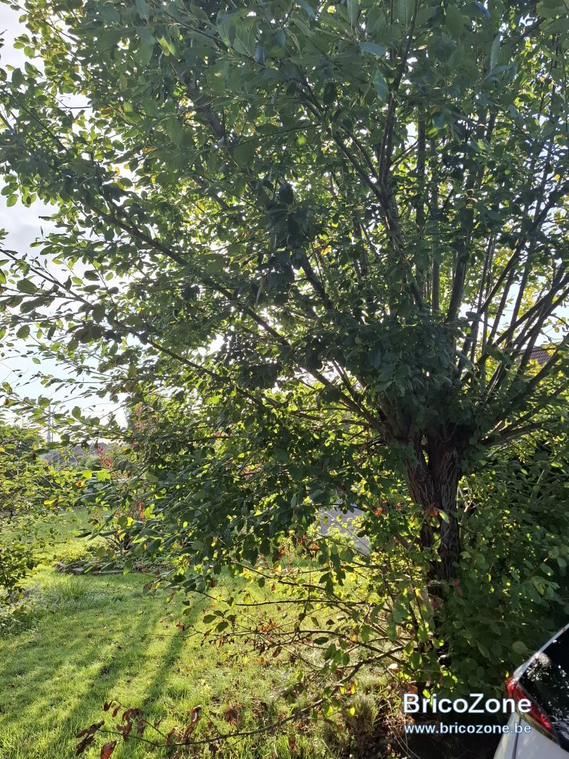 20240826_083326.jpg