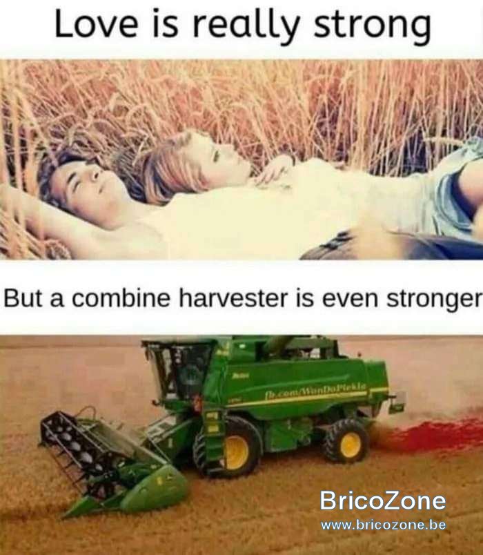 1000010242.jpg