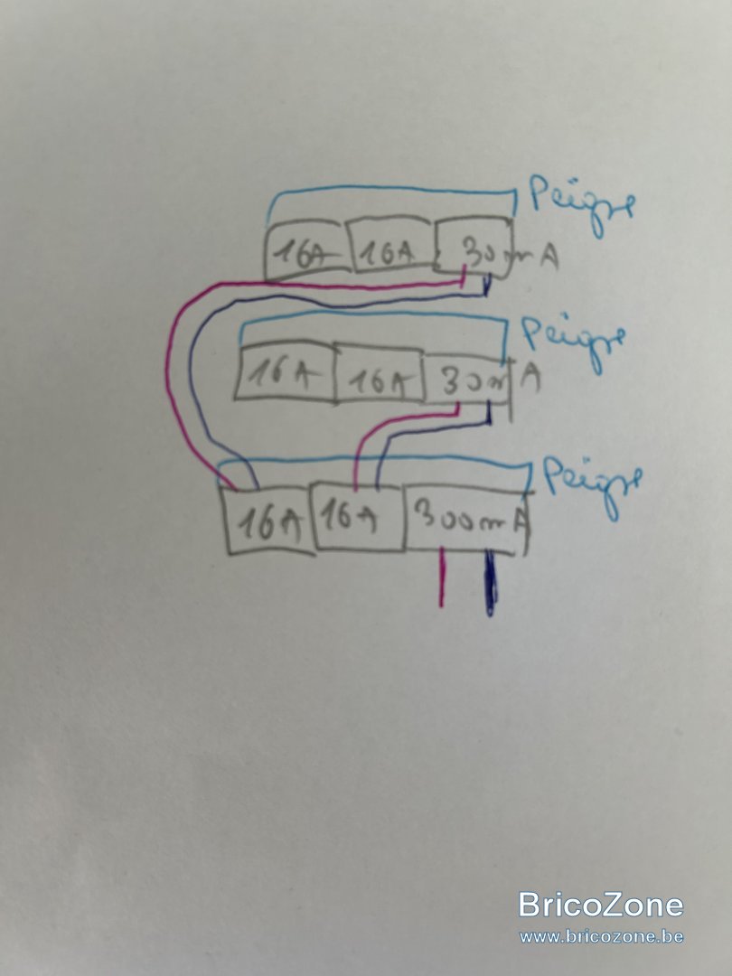 IMG_4721.jpeg