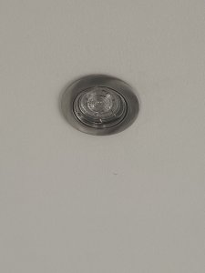 IMG_2431.jpeg IMG_2431.jpeg