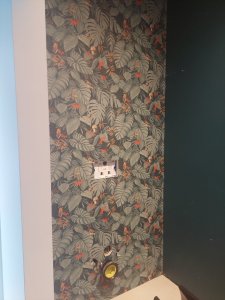 1000020092.jpg