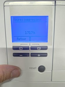 20241030_171924.jpg