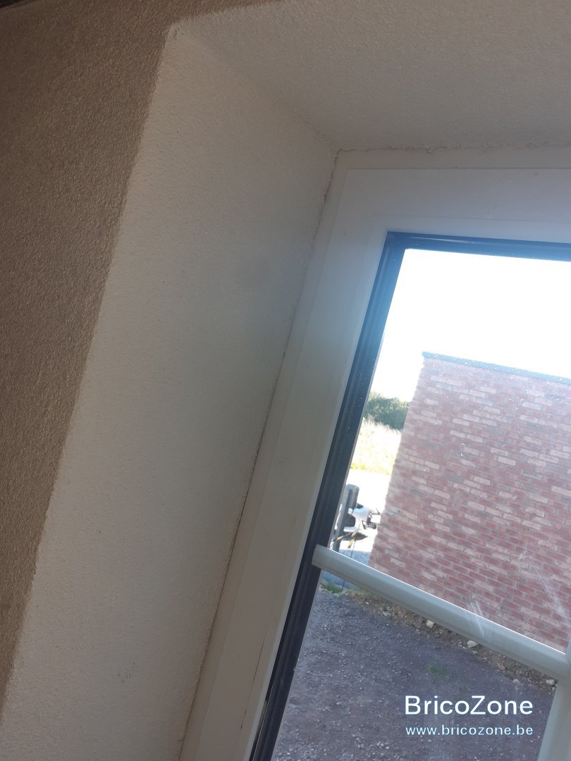 20241104_134532.jpg