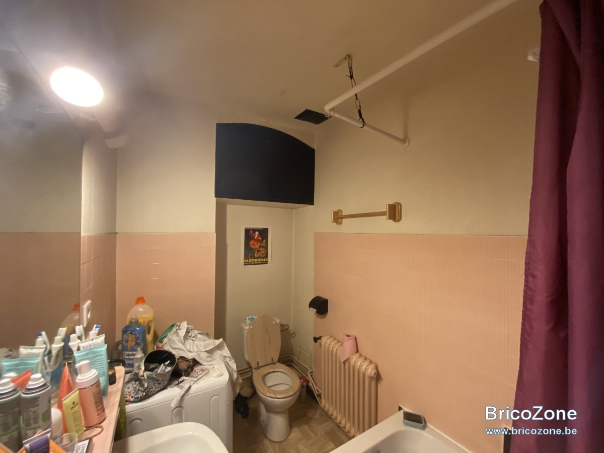 IMG_7390.jpeg