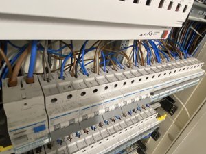 IMG_2758.jpeg