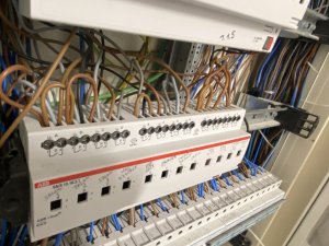 IMG_2759.jpeg