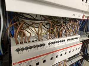 IMG_2760.jpeg